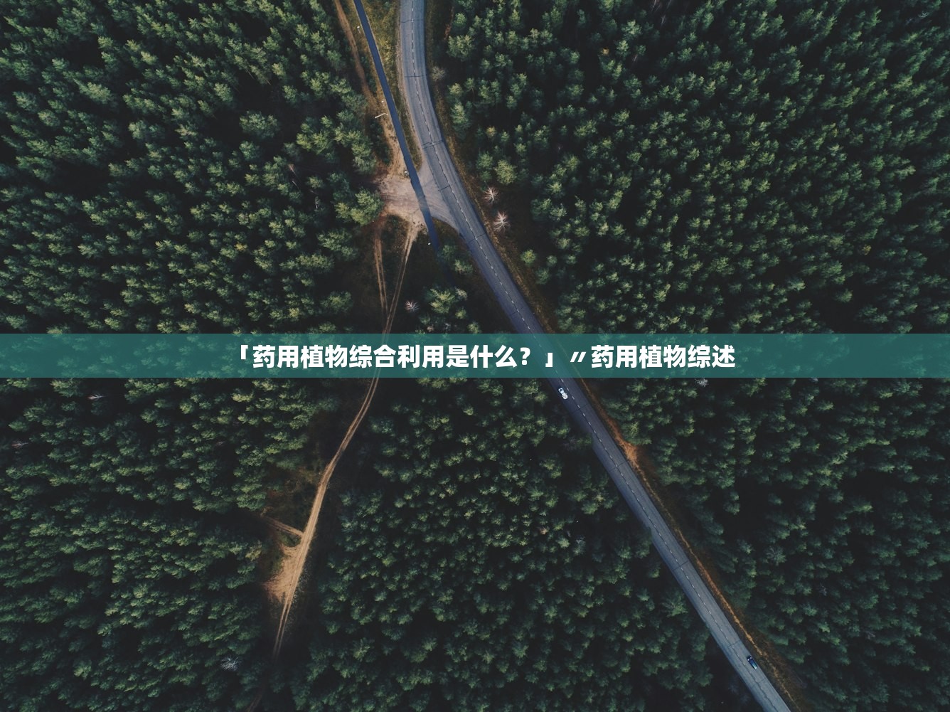 「药用植物综合利用是什么?」〃药用植物综述 「药用植物综合利用是什么?」〃药用植物综述