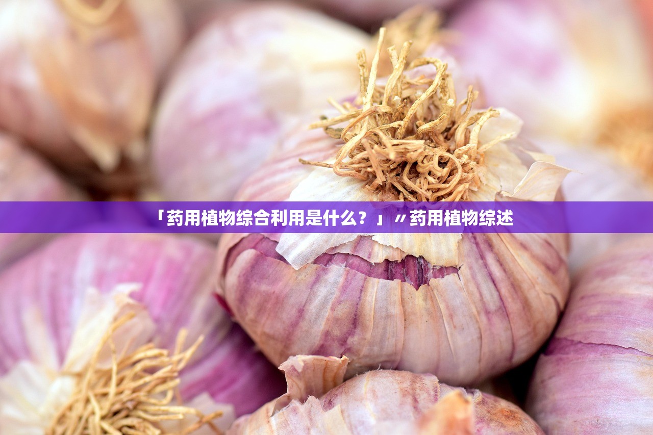 「药用植物综合利用是什么?」〃药用植物综述 「药用植物综合利用是什么?」〃药用植物综述