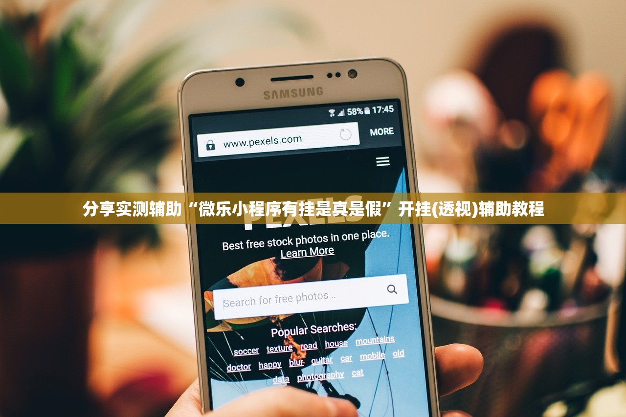分享实测辅助“微乐小程序有挂是真是假”开挂(透视)辅助教程