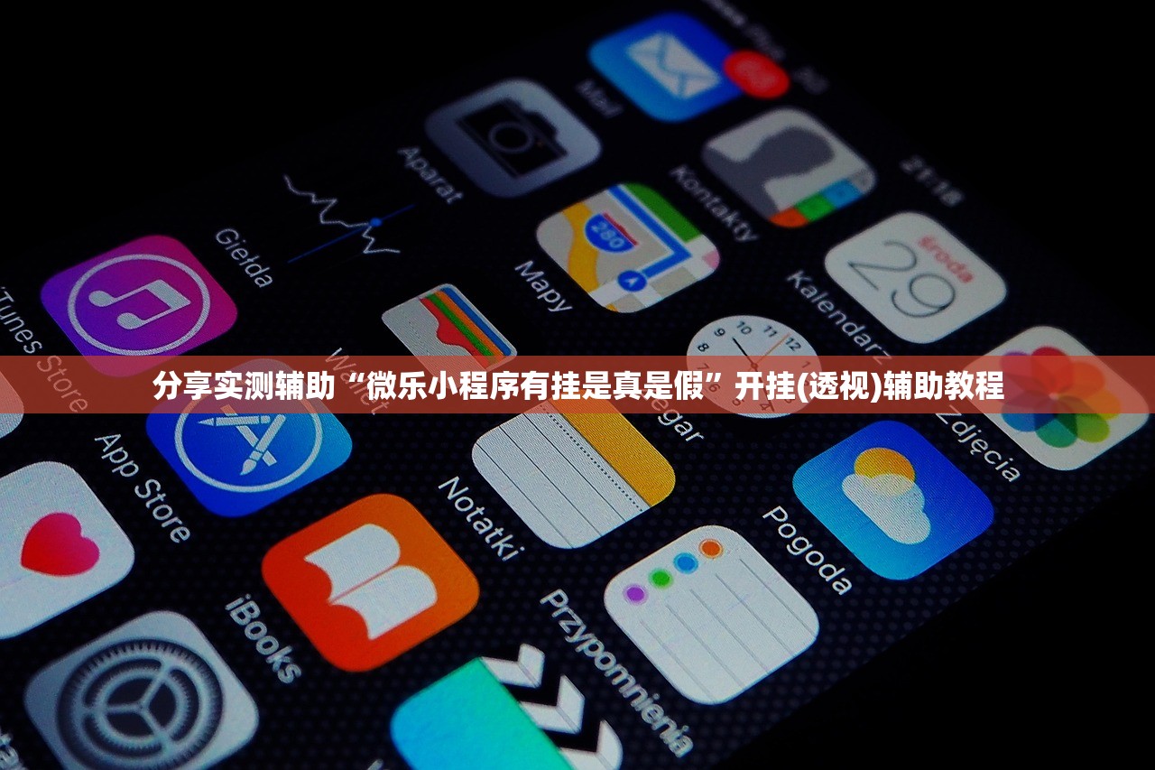 分享实测辅助“微乐小程序有挂是真是假”开挂(透视)辅助教程