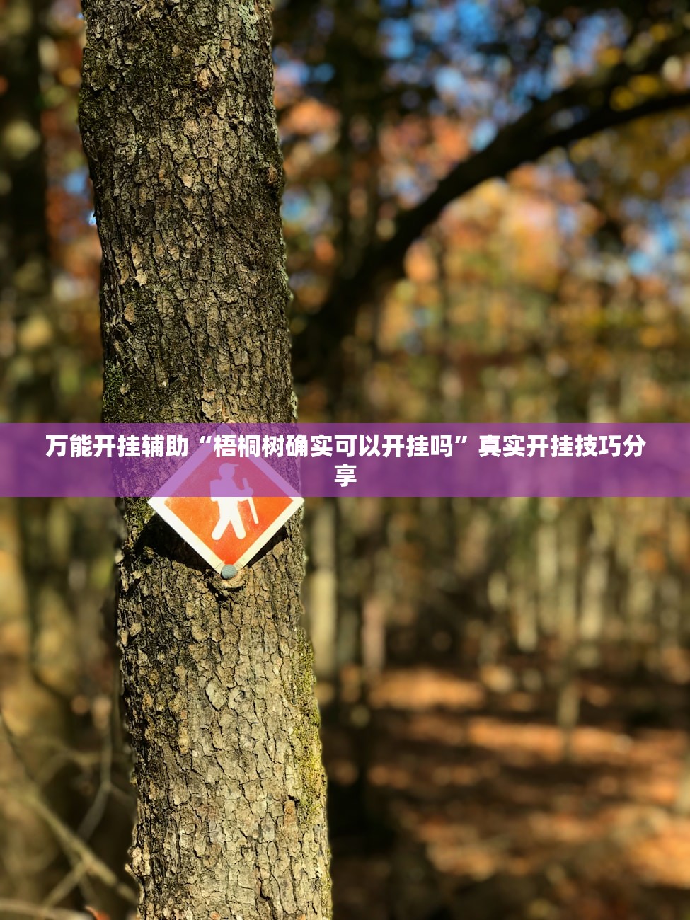 万能开挂辅助“梧桐树确实可以开挂吗	”真实开挂技巧分享