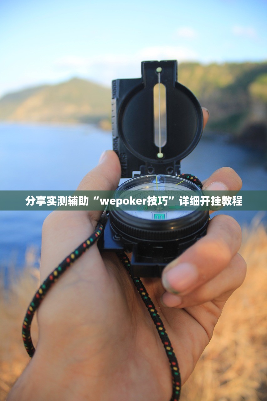 分享实测辅助“wepoker技巧	”详细开挂教程