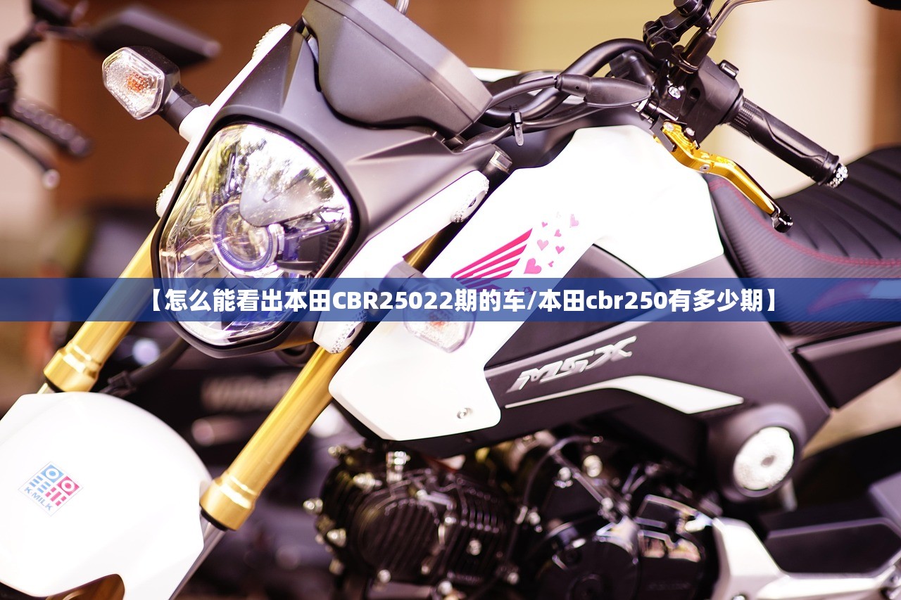 【怎么能看出本田CBR25022期的车/本田cbr250有多少期】