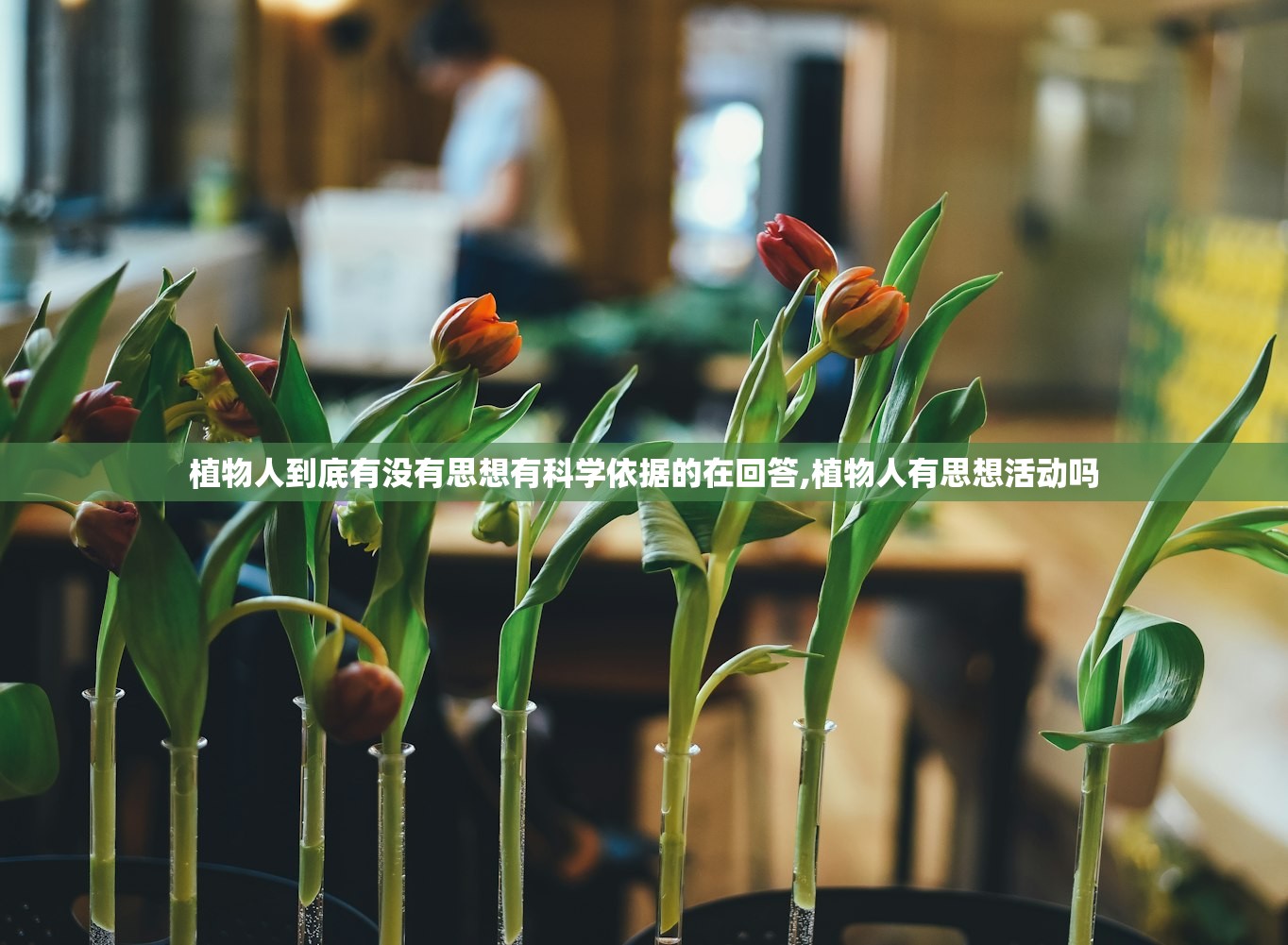 植物人到底有没有思想有科学依据的在回答,植物人有思想活动吗