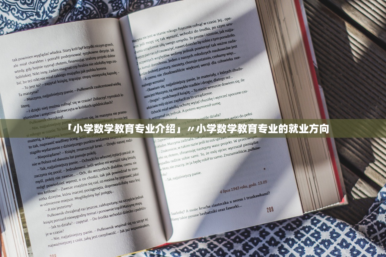 「小学数学教育专业介绍」〃小学数学教育专业的就业方向