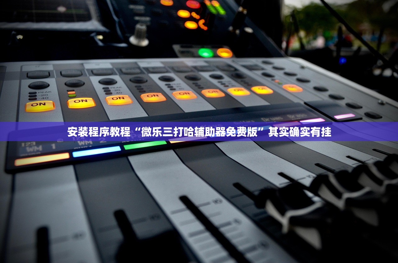 安装程序教程“微乐三打哈辅助器免费版”其实确实有挂
