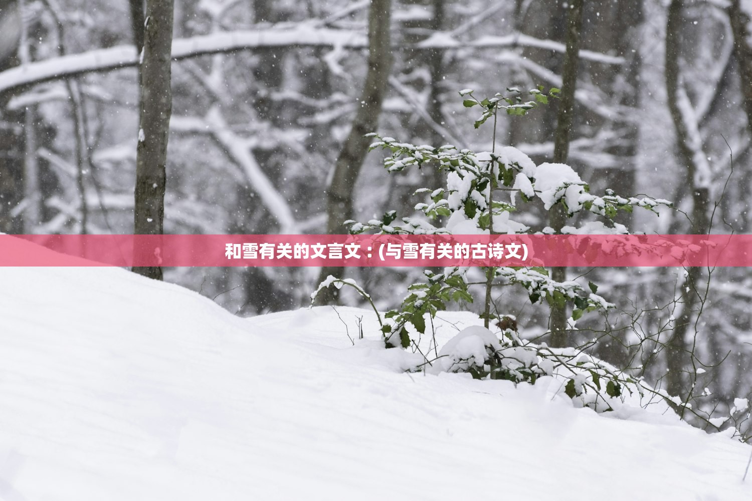 和雪有关的文言文︰(与雪有关的古诗文) 和雪有关的文言文︰(与雪有关的古诗文)