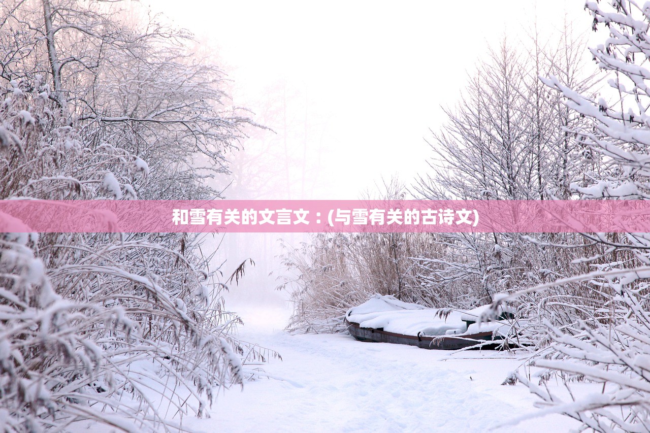 和雪有关的文言文︰(与雪有关的古诗文) 和雪有关的文言文︰(与雪有关的古诗文)