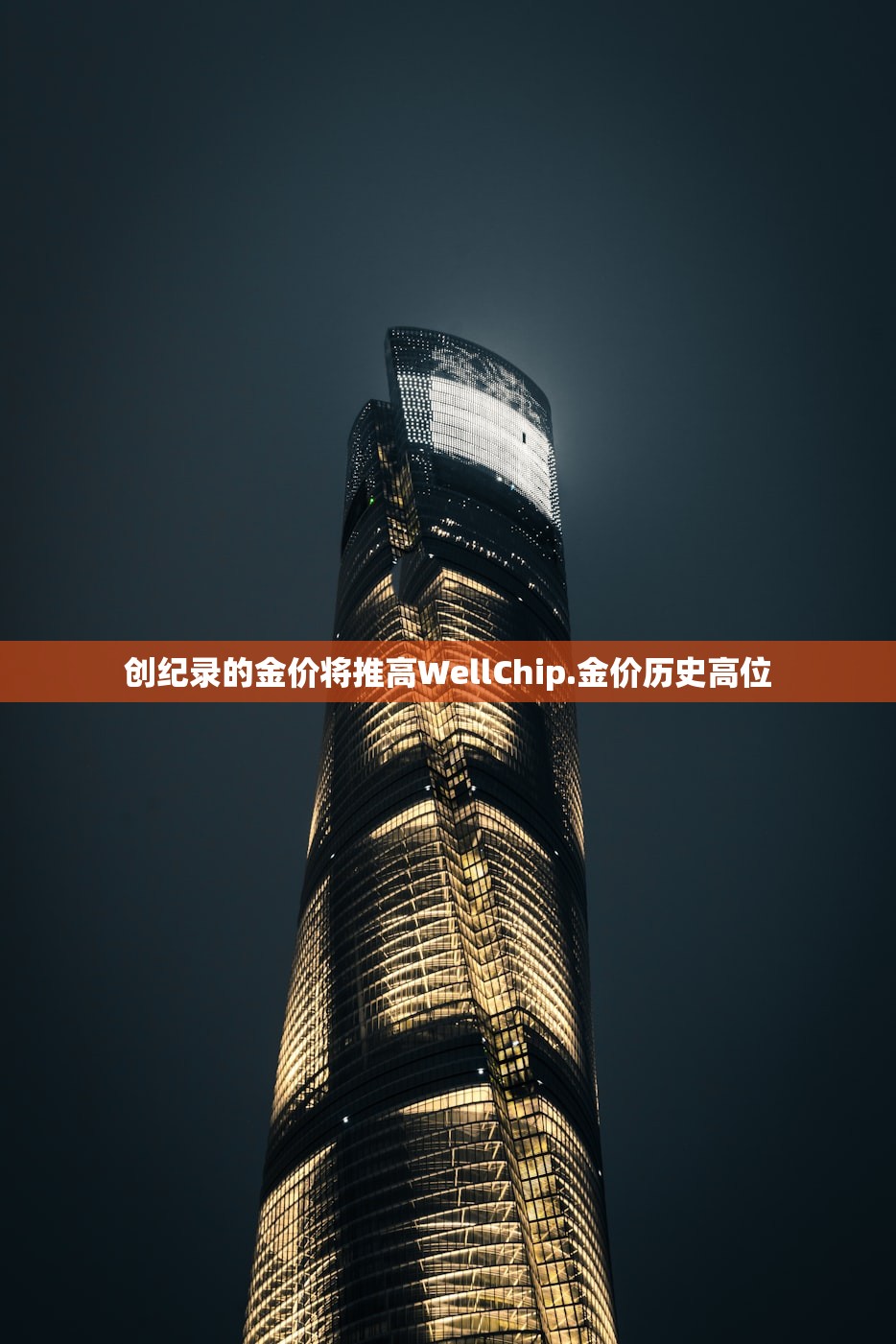 创纪录的金价将推高WellChip.金价历史高位