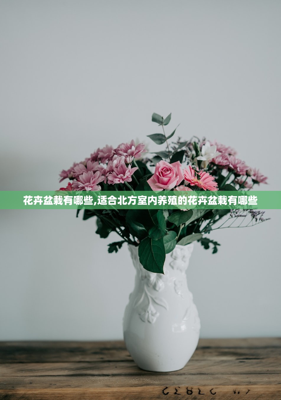 花卉盆栽有哪些,适合北方室内养殖的花卉盆栽有哪些