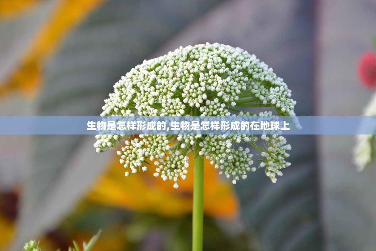 生物是怎样形成的,生物是怎样形成的在地球上