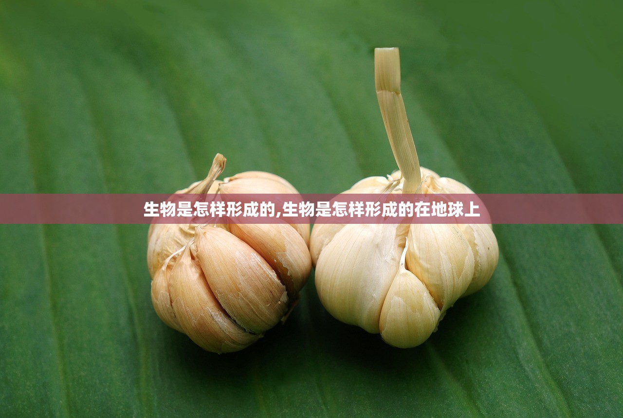 生物是怎样形成的,生物是怎样形成的在地球上