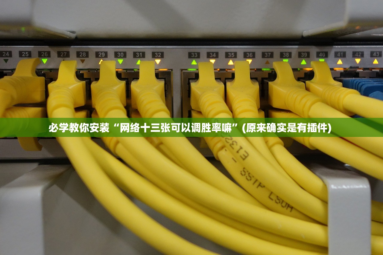必学教你安装“网络十三张可以调胜率嘛	”(原来确实是有插件) 