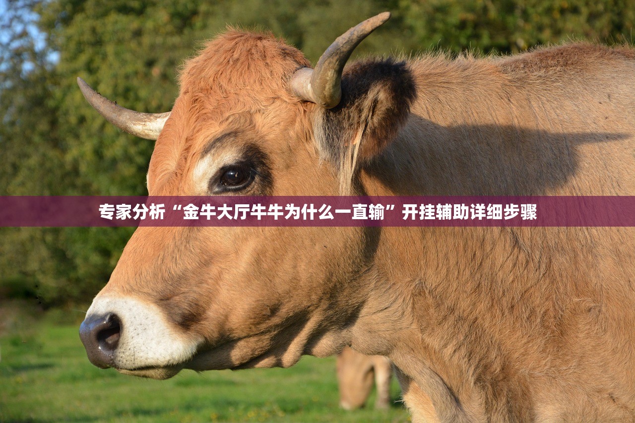 专家分析“金牛大厅牛牛为什么一直输”开挂辅助详细步骤