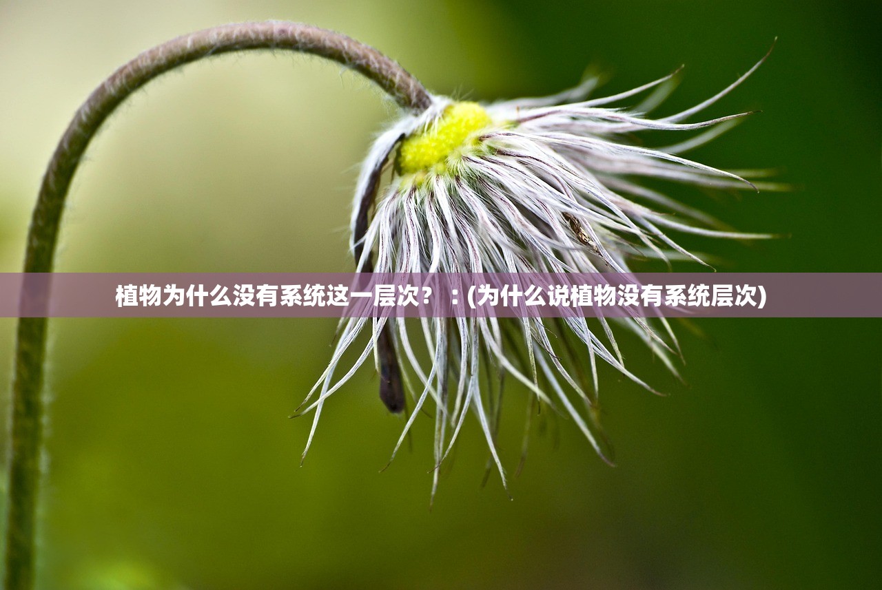 植物为什么没有系统这一层次？︰(为什么说植物没有系统层次)