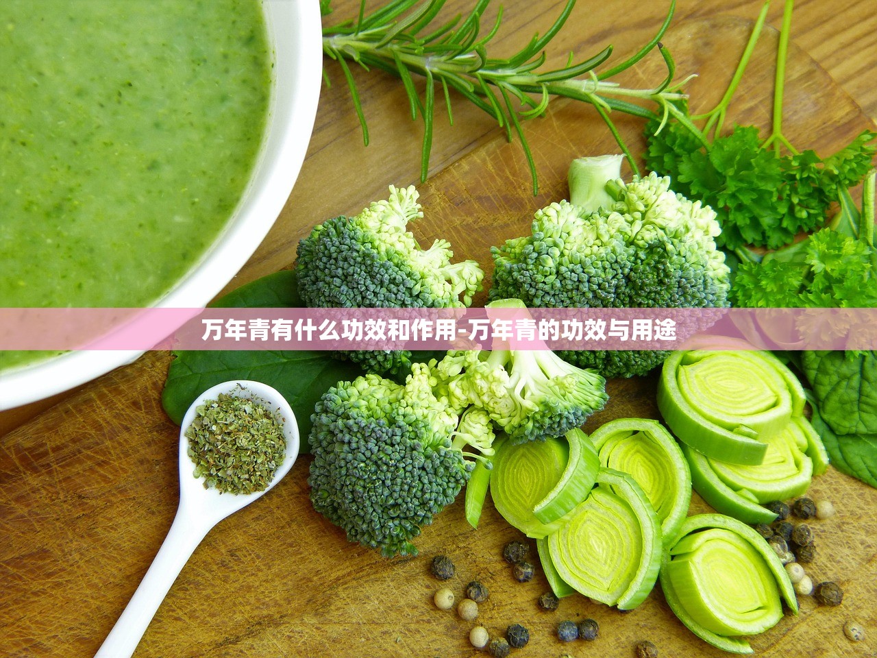 万年青有什么功效和作用-万年青的功效与用途