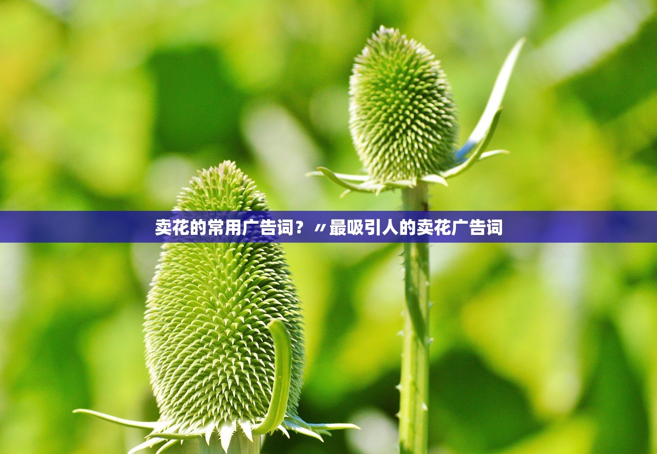 卖花的常用广告词？〃最吸引人的卖花广告词
