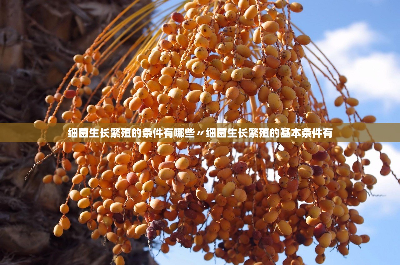 细菌生长繁殖的条件有哪些〃细菌生长繁殖的基本条件有