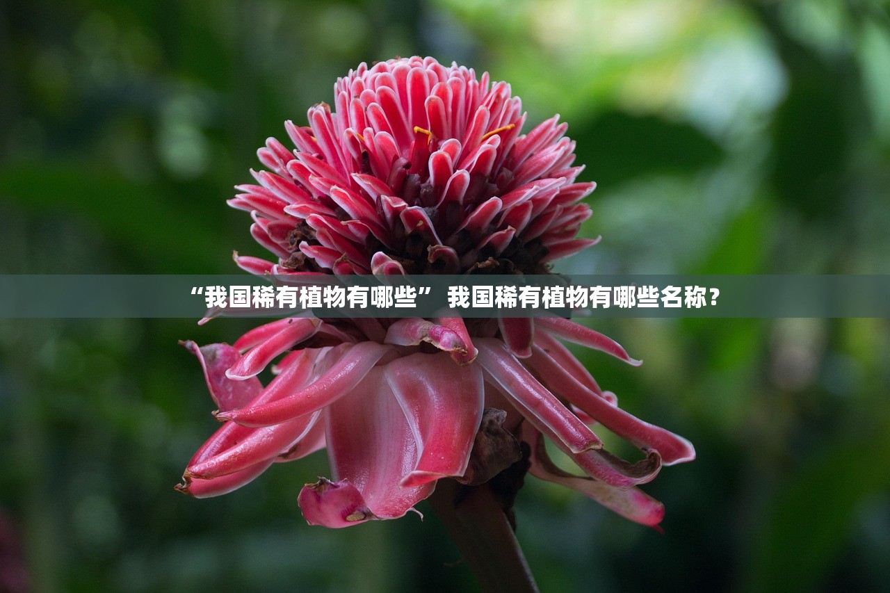 “我国稀有植物有哪些” 我国稀有植物有哪些名称？