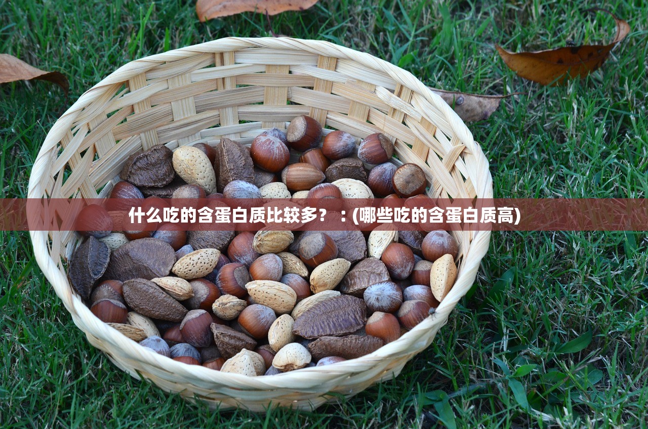 什么吃的含蛋白质比较多？︰(哪些吃的含蛋白质高)