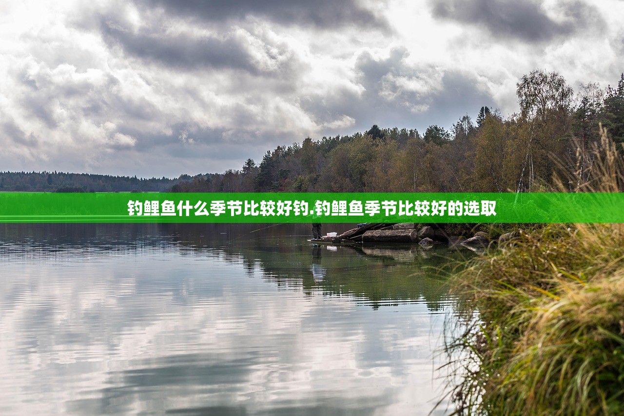 钓鲤鱼什么季节比较好钓.钓鲤鱼季节比较好的选取