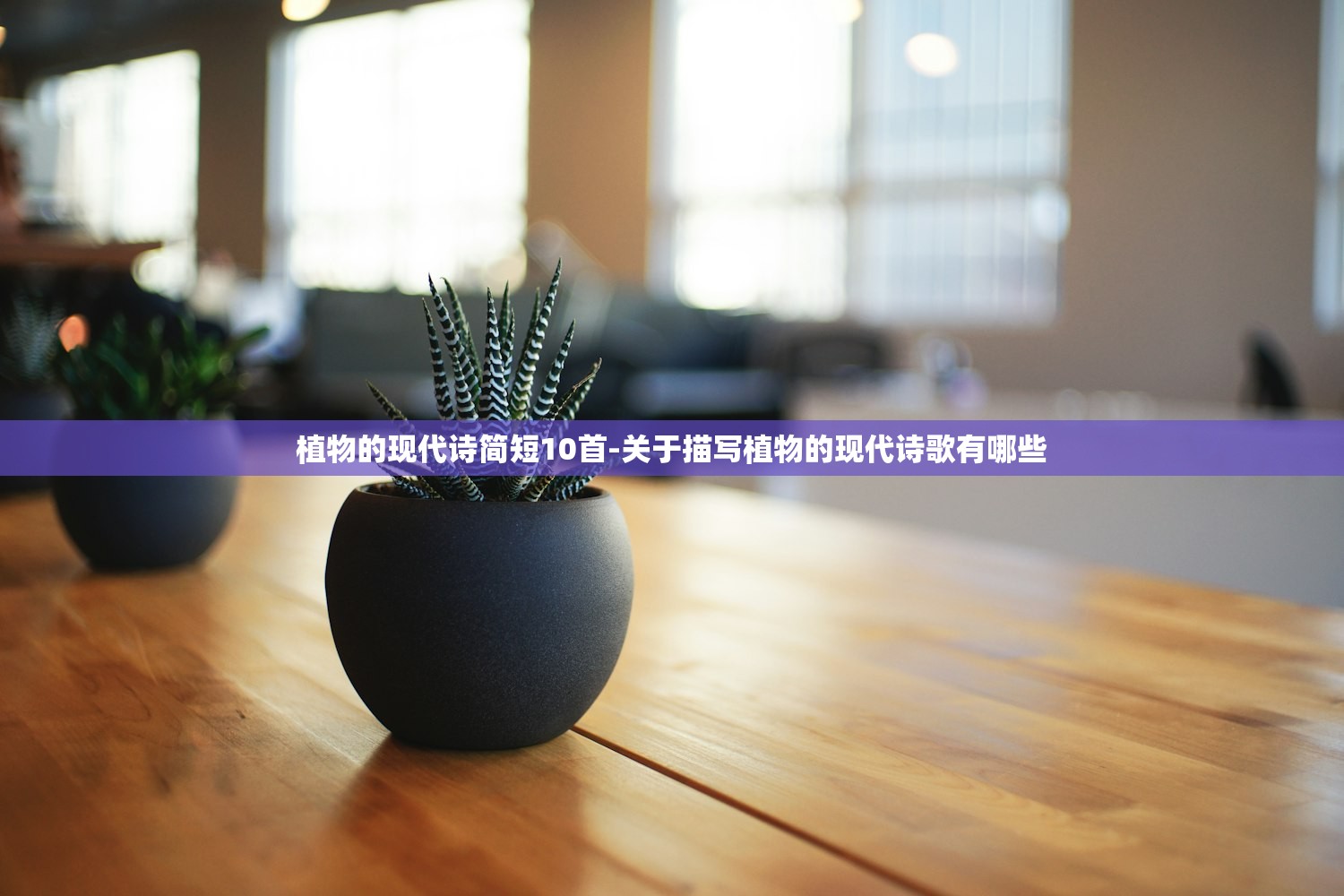 植物的现代诗简短10首-关于描写植物的现代诗歌有哪些