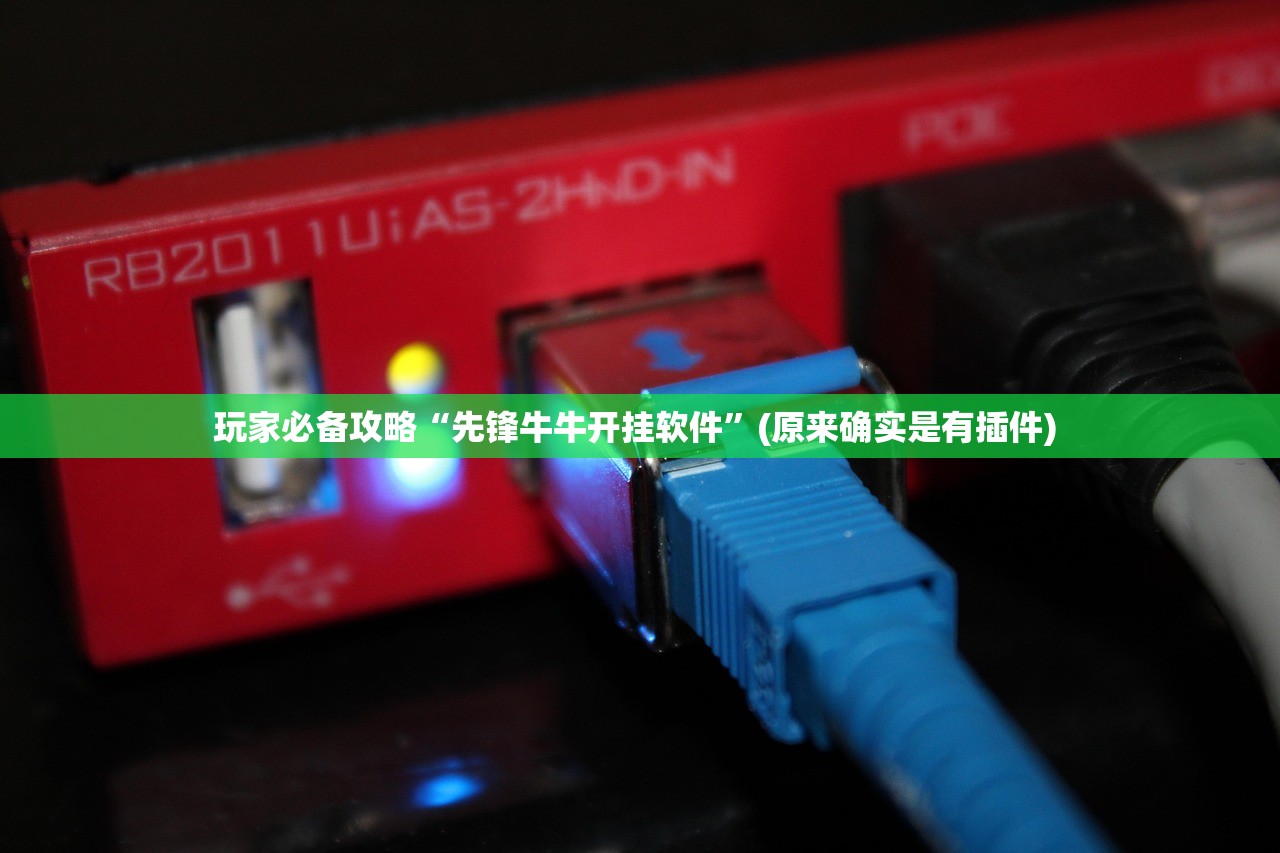 玩家必备攻略“先锋牛牛开挂软件	”(原来确实是有插件) 