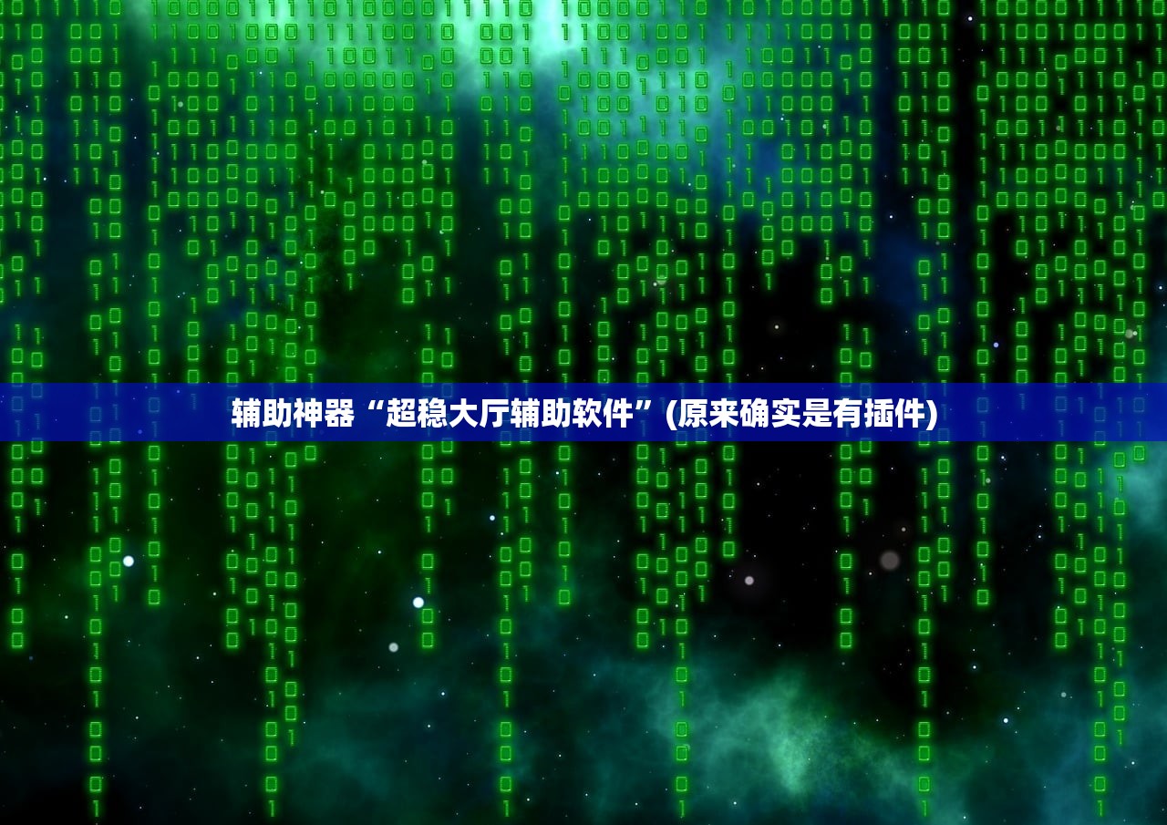 辅助神器“超稳大厅辅助软件”(原来确实是有插件)