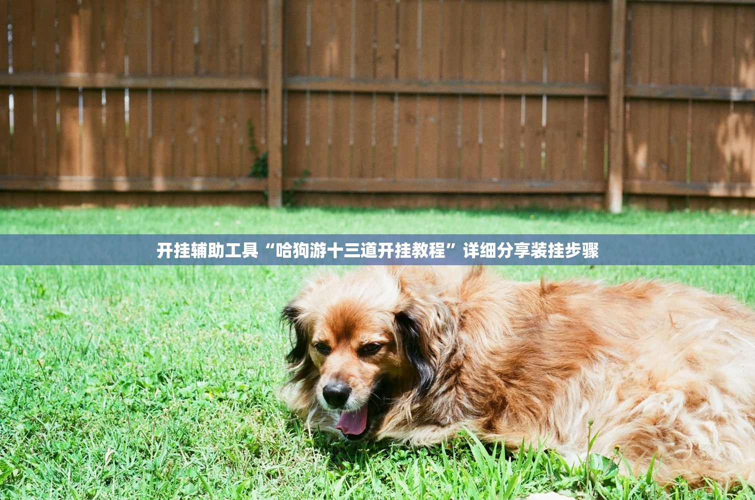 开挂辅助工具“哈狗游十三道开挂教程”详细分享装挂步骤