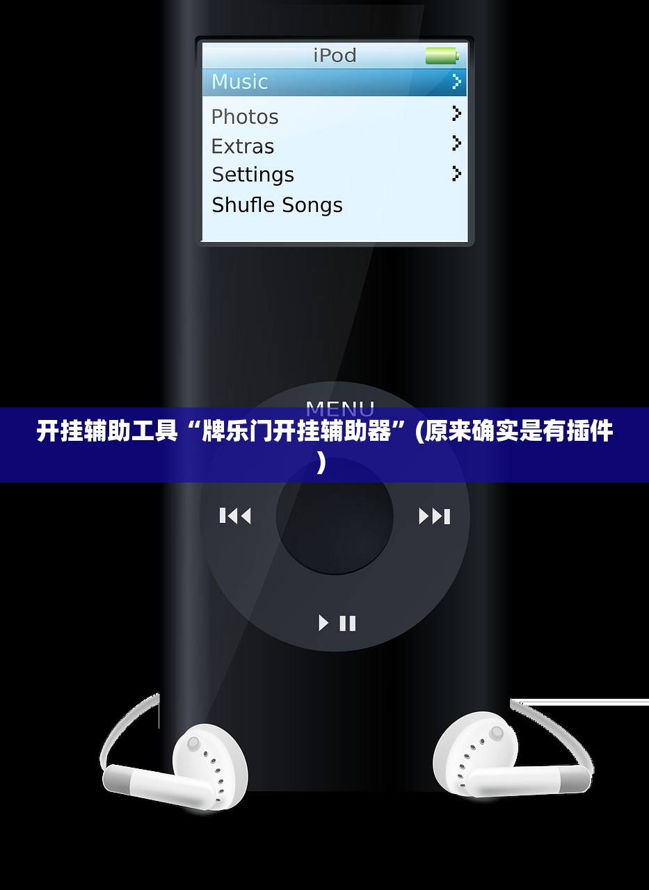 开挂辅助工具“牌乐门开挂辅助器”(原来确实是有插件) 