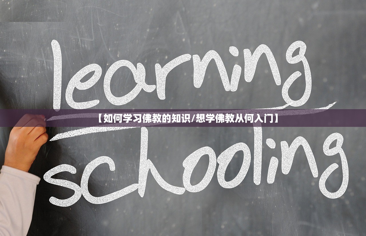 【如何学习佛教的知识/想学佛教从何入门】 【如何学习佛教的知识/想学佛教从何入门】