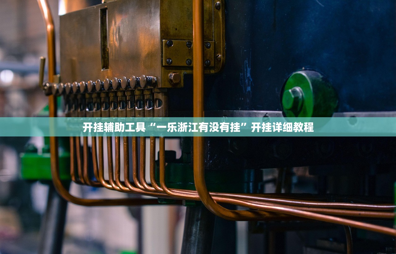 开挂辅助工具“一乐浙江有没有挂”开挂详细教程