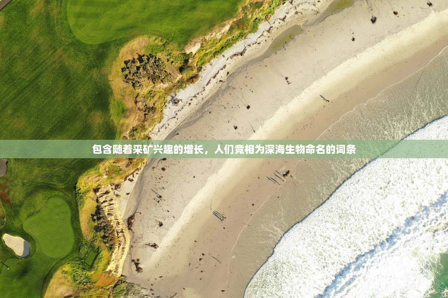 包含随着采矿兴趣的增长，人们竞相为深海生物命名的词条