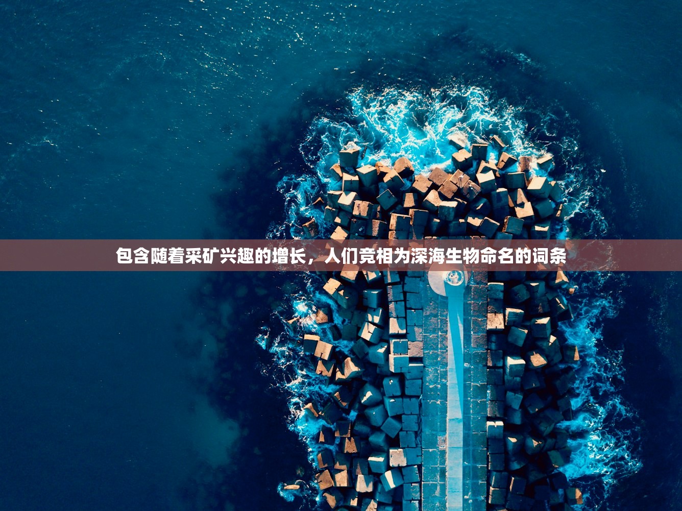 包含随着采矿兴趣的增长	，人们竞相为深海生物命名的词条
