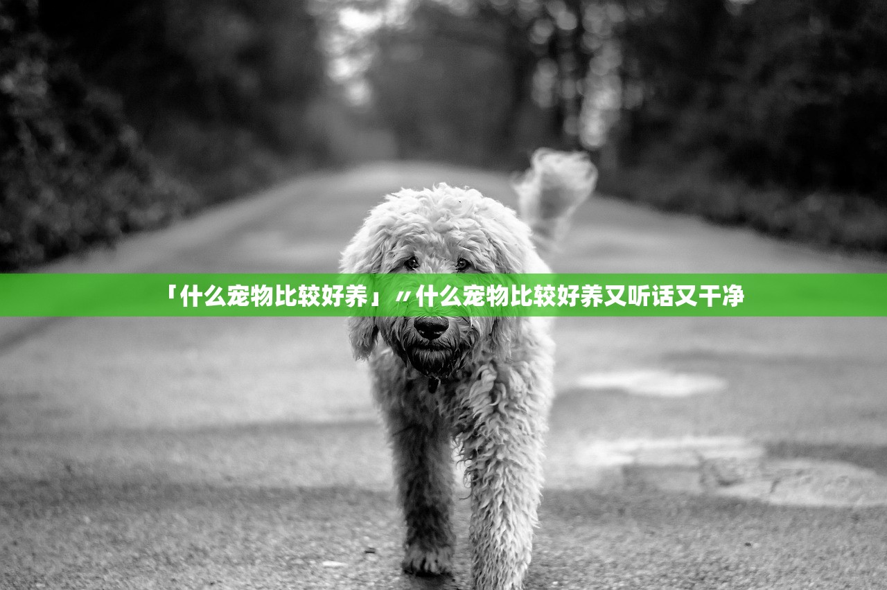 「什么宠物比较好养」〃什么宠物比较好养又听话又干净