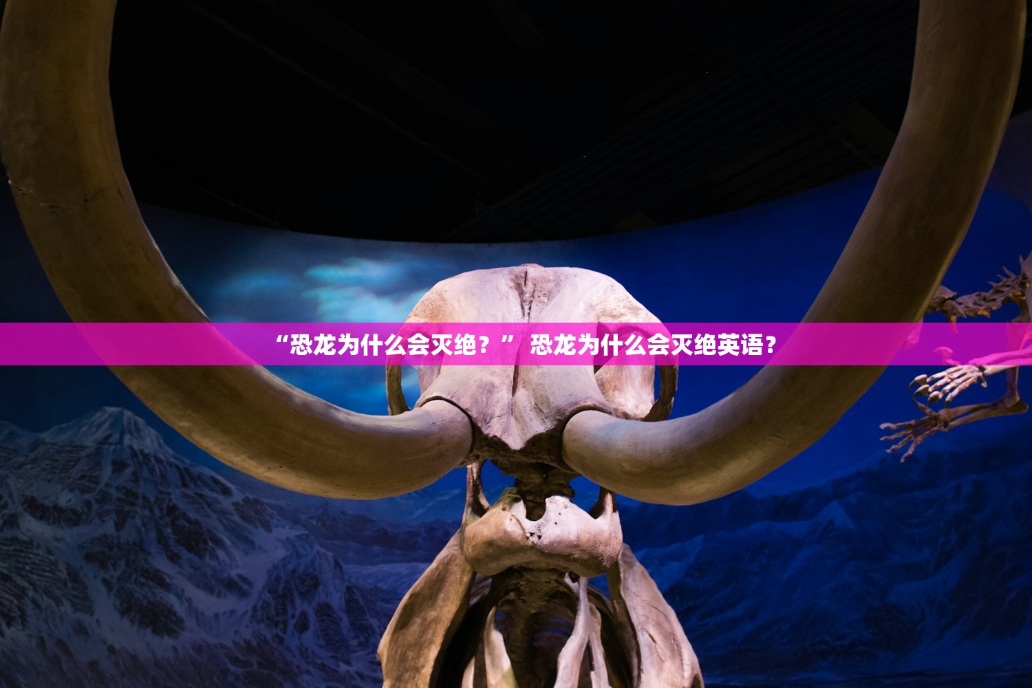 “恐龙为什么会灭绝？	” 恐龙为什么会灭绝英语？