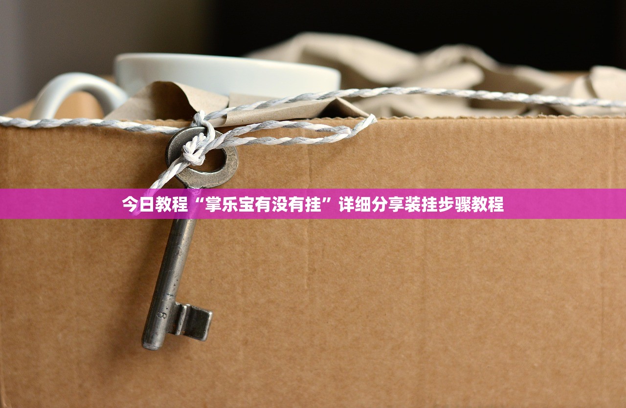 今日教程“掌乐宝有没有挂”详细分享装挂步骤教程