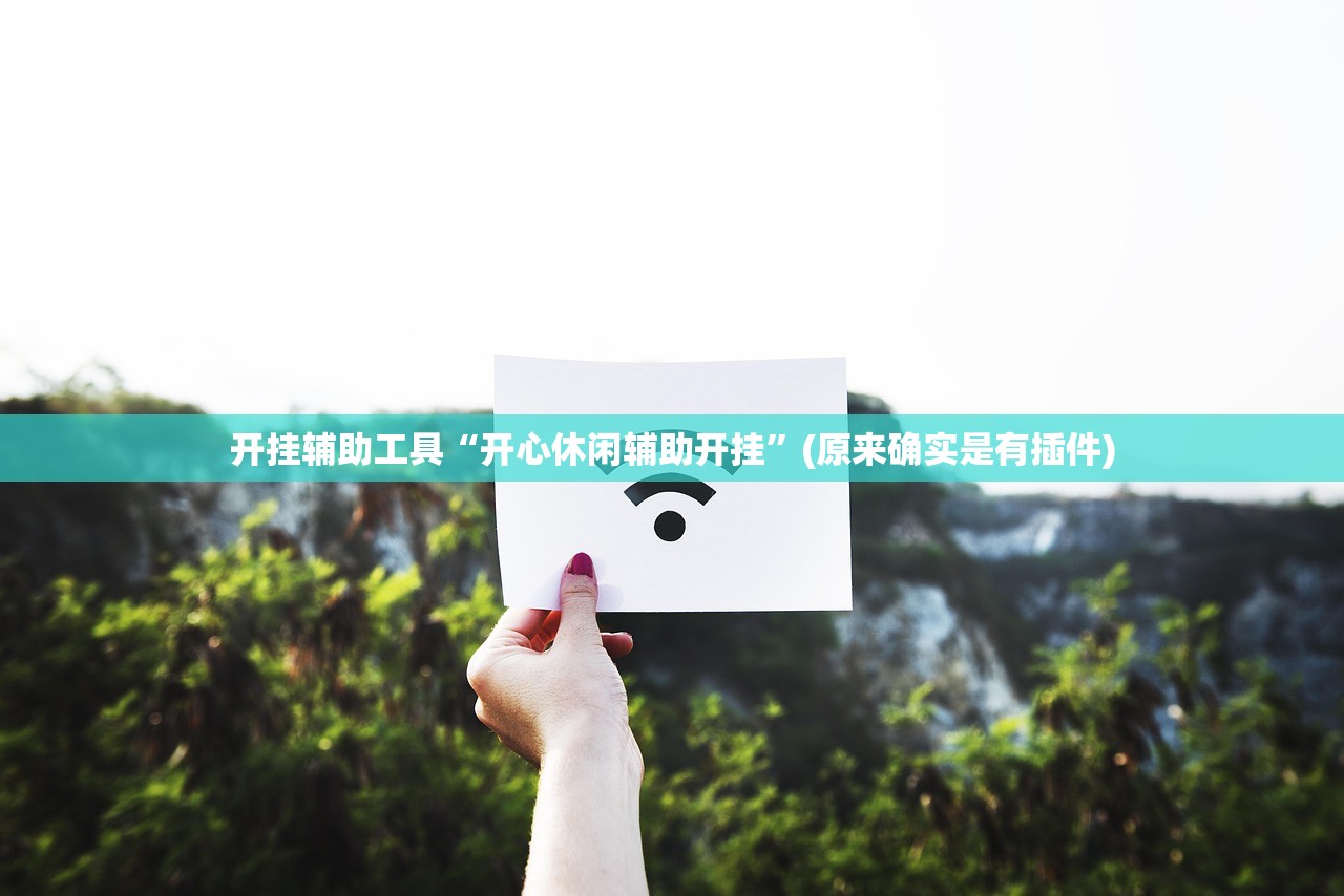 开挂辅助工具“开心休闲辅助开挂”(原来确实是有插件)