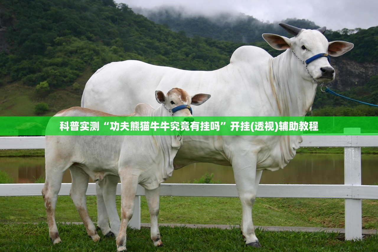 科普实测“功夫熊猫牛牛究竟有挂吗	”开挂(透视)辅助教程