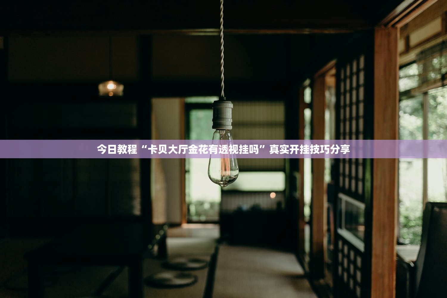 今日教程“卡贝大厅金花有透视挂吗”真实开挂技巧分享