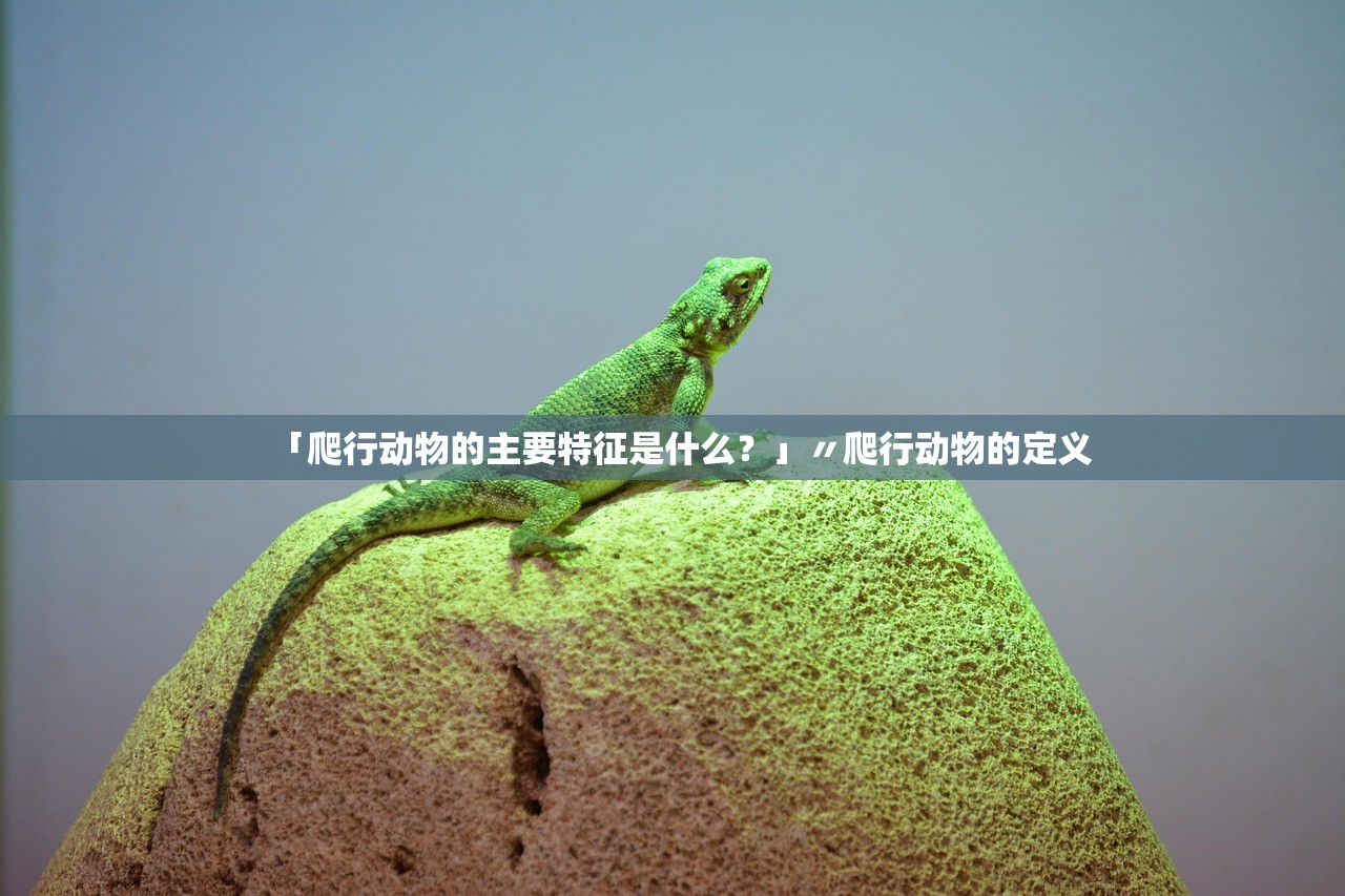 「爬行动物的主要特征是什么？」〃爬行动物的定义