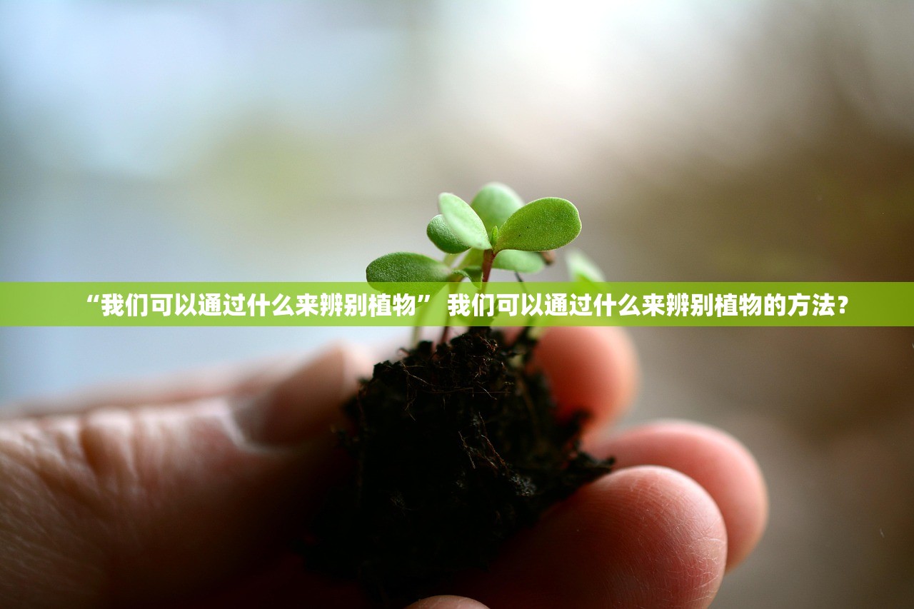 “我们可以通过什么来辨别植物” 我们可以通过什么来辨别植物的方法？
