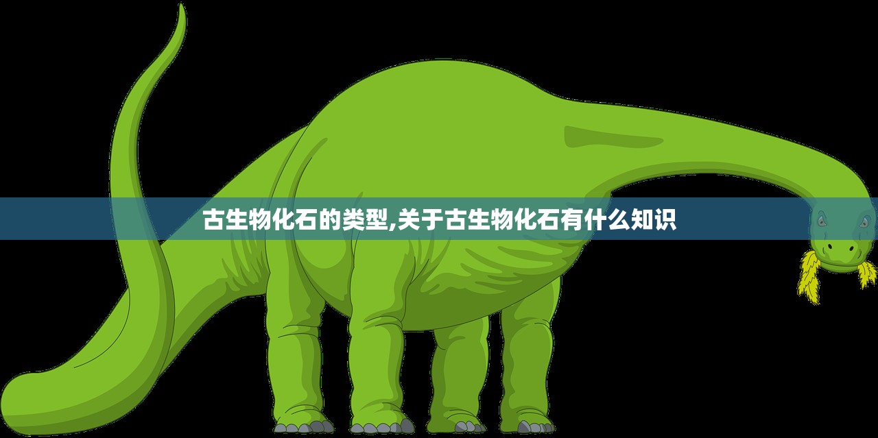 古生物化石的类型,关于古生物化石有什么知识 古生物化石的类型,关于古生物化石有什么知识