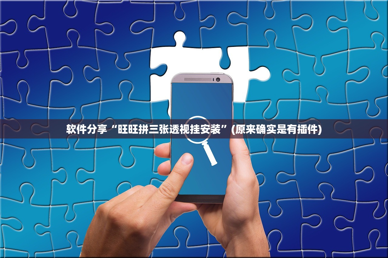 软件分享“旺旺拼三张透视挂安装”(原来确实是有插件)