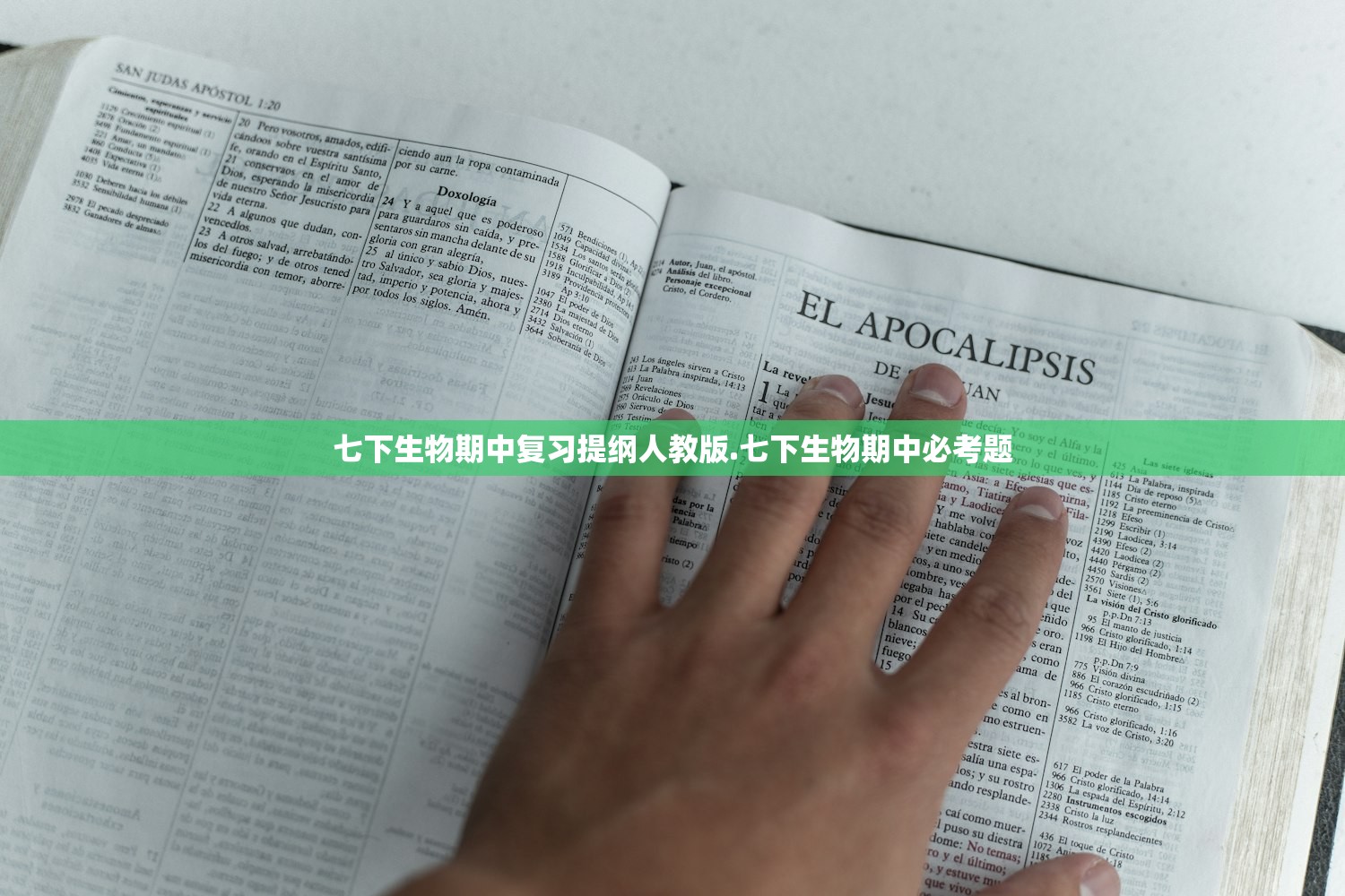 七下生物期中复习提纲人教版.七下生物期中必考题