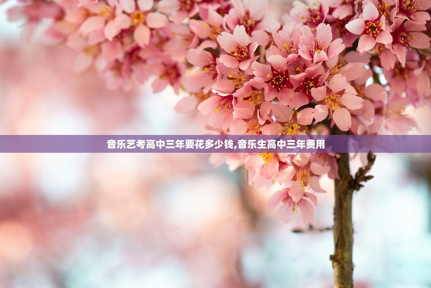 音乐艺考高中三年要花多少钱,音乐生高中三年费用