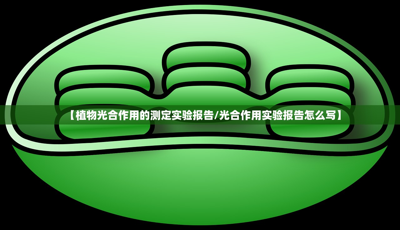 【植物光合作用的测定实验报告/光合作用实验报告怎么写】 【植物光合作用的测定实验报告/光合作用实验报告怎么写】