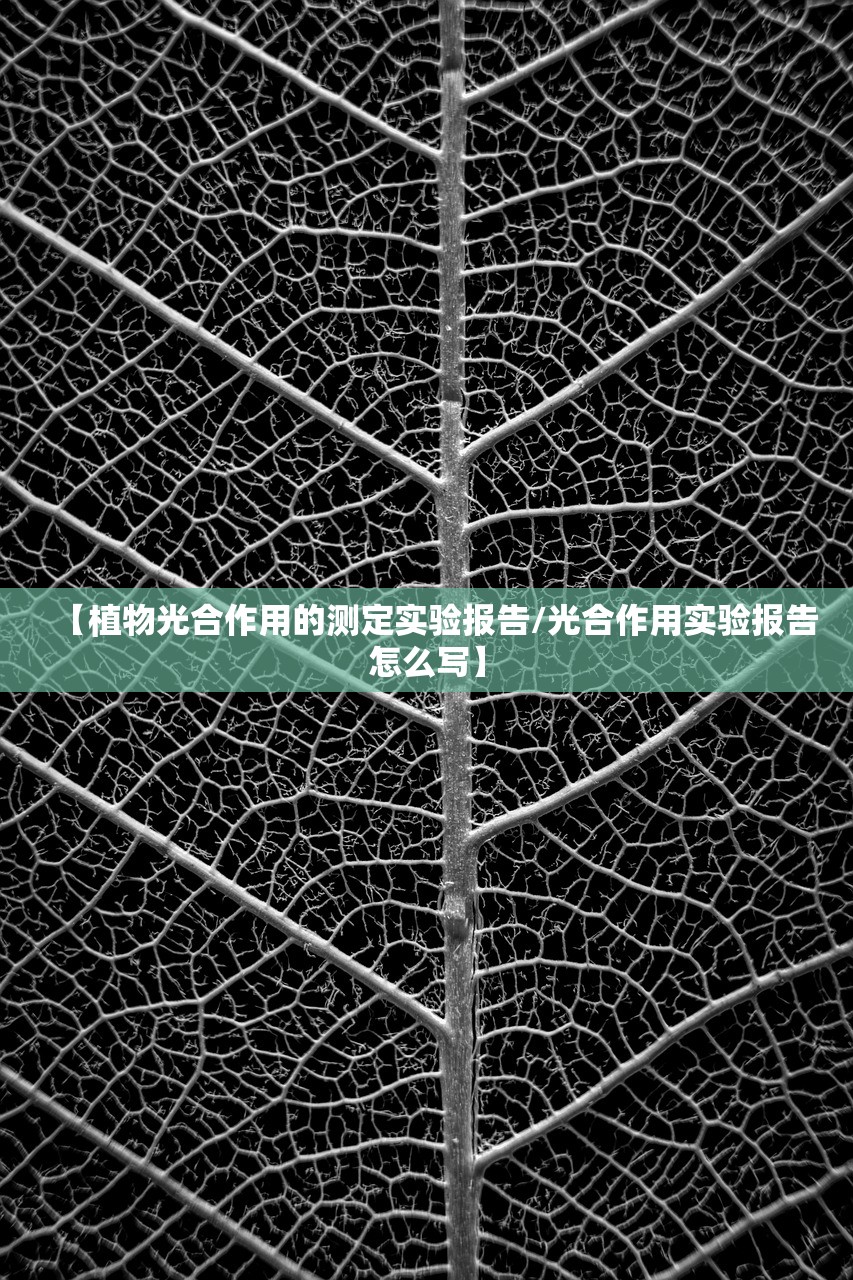 【植物光合作用的测定实验报告/光合作用实验报告怎么写】 【植物光合作用的测定实验报告/光合作用实验报告怎么写】