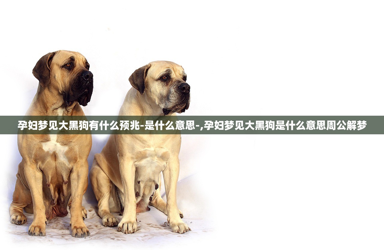 孕妇梦见大黑狗有什么预兆-是什么意思-,孕妇梦见大黑狗是什么意思周公解梦