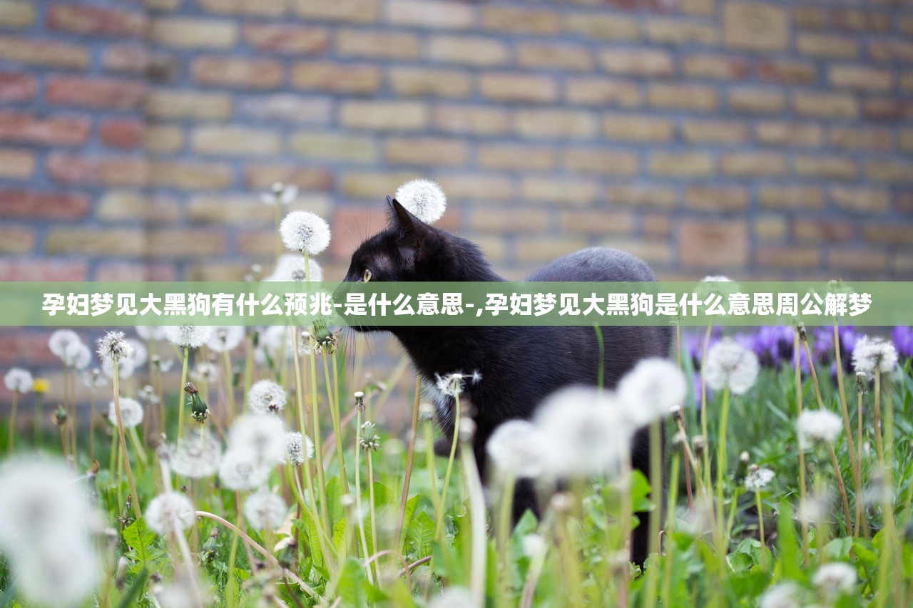 孕妇梦见大黑狗有什么预兆-是什么意思-,孕妇梦见大黑狗是什么意思周公解梦